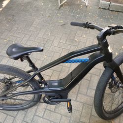Serial 1 Mosh city E-bike. Harley Davidson