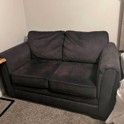 Loveseat ($100)