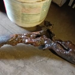 Natural Burl Wood Sculpture – Polished And Protected