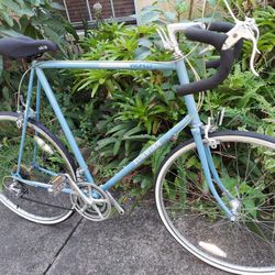 Schwinn Road Bike Extra large frame