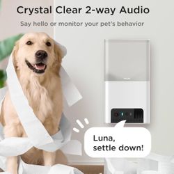 Petcube Bites 2 Lite  Interactive Pet Monitoring 