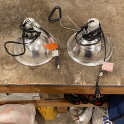 Reprile Clamp Lamps