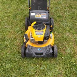 Cub Cadet Lithium Electric Start Effortless Drive Control My Speed