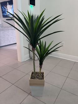 Decor Plant 