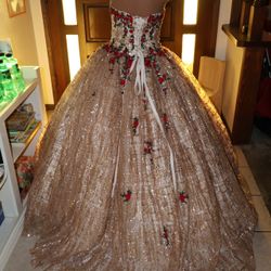 ball gown or quince dres