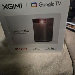 Google Portable Projector 