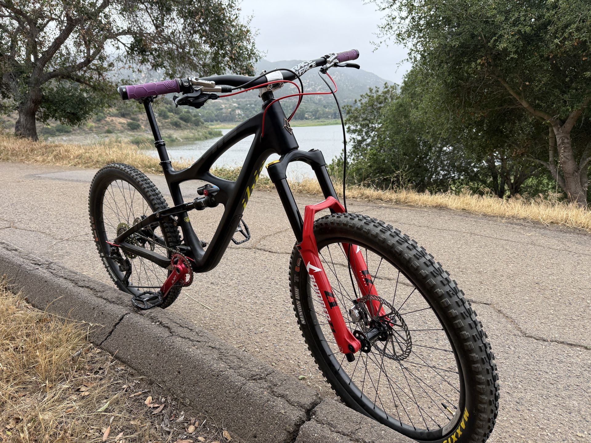 2021 Ibis DH 5 Carbon Large