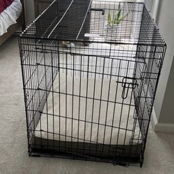 Large crate for Medium or Large dog w/ dog crate water bowl.