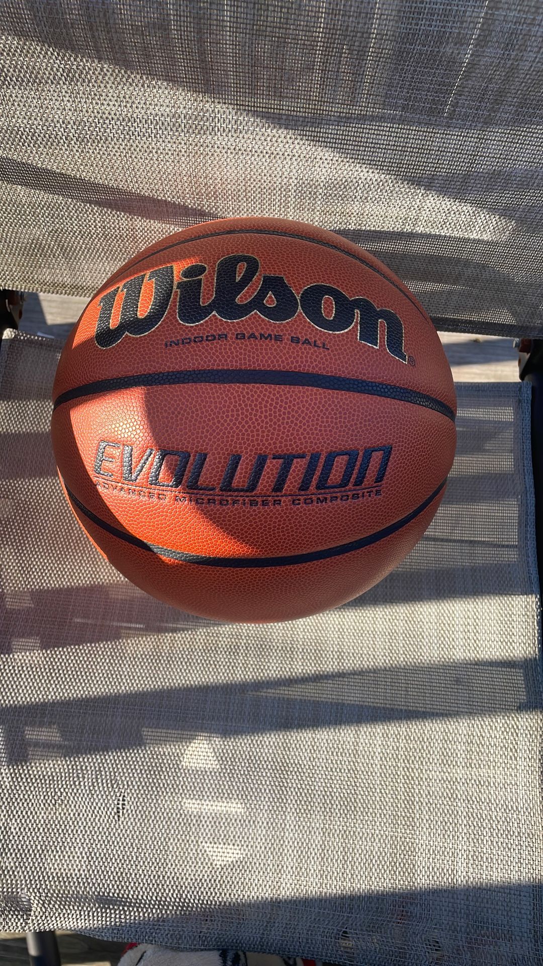 Evolution Basketball Size: 7.0