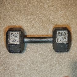 Dumbbell 25 lbs (SINGLE) cask iron weight lifting barbell exercise gym