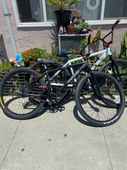 Throne 29er