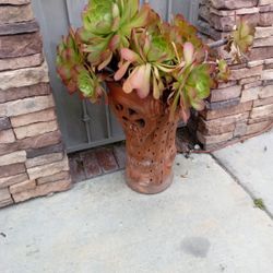Terracotta Pot With Design Two And A Half Feet Tall With Succulent Plants