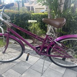 Girls Schwin Bicycle 24 