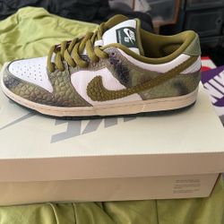 Nike sB Dunk low Pro