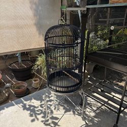 Birdcage