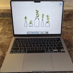 Like New 2025 13.6 M4 Macbook Air (Sky Blue)