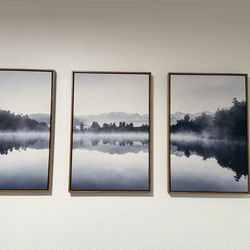 3 Framed canvas set