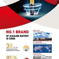 Nanfu AA 1.5V 48 Counts