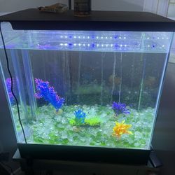 20 Gallon Waterfall Fish Tank