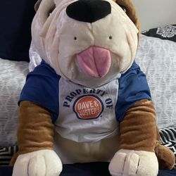 Dave & Buster Bull Dog Teddy Bear