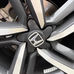 10th gen accord “Rim Guard”