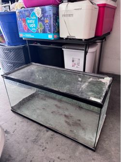 40 Gal Tank