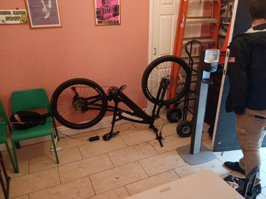 Luna X1 750w 48v Full suspension