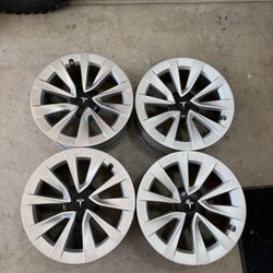 Tesla Rims