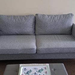 Price Negotiable - Sofa Couch