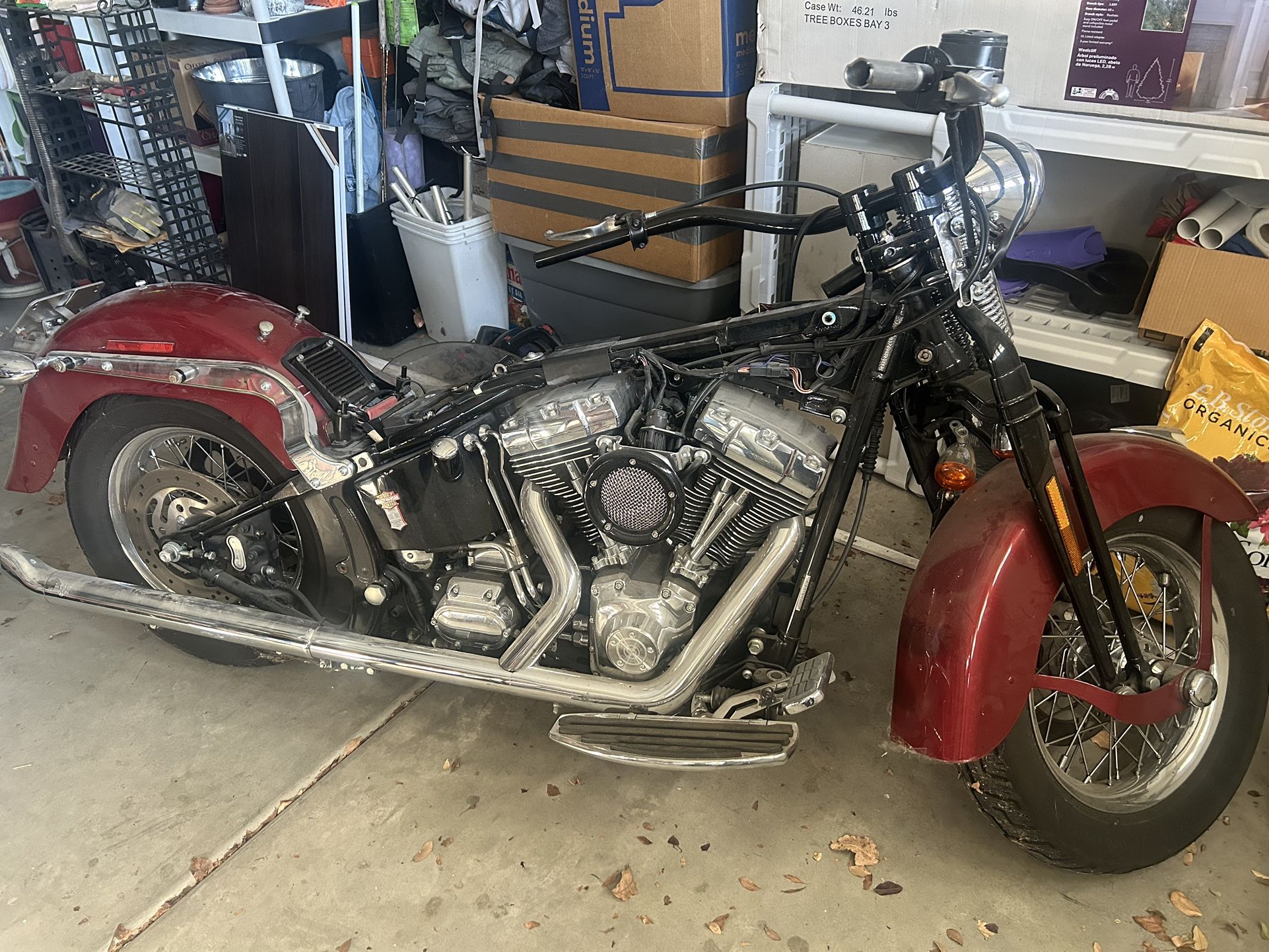 2006 Harley Springer Classic Soft Tail