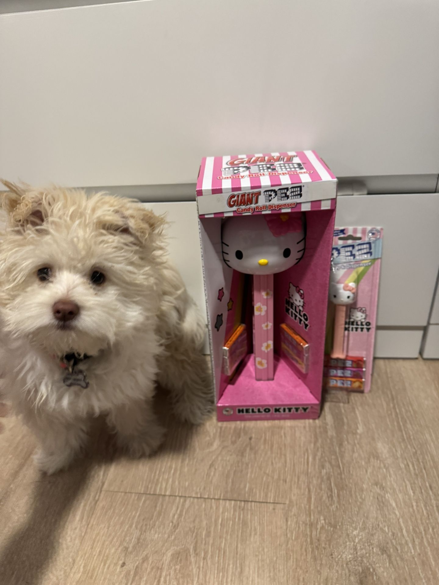 Pez Hello Kitty Duo