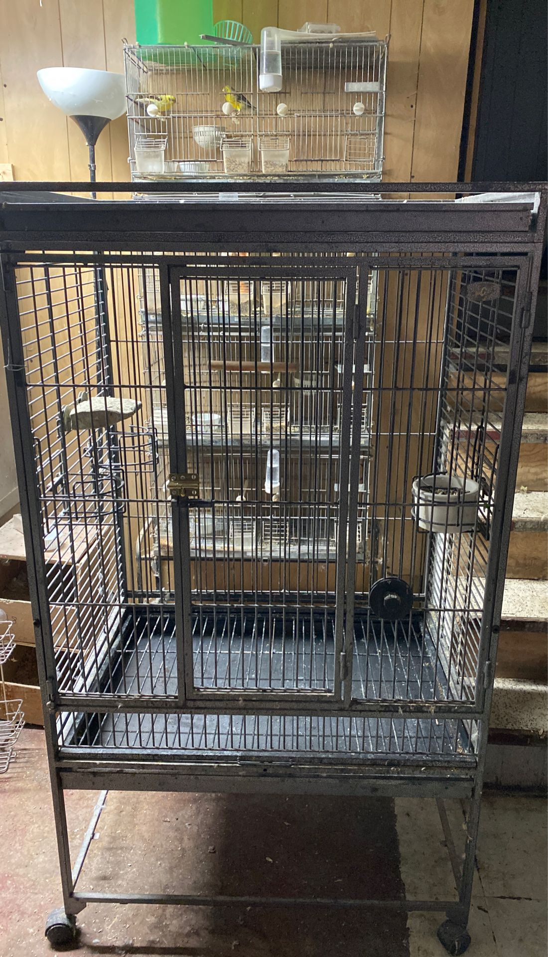 Large used bird cage