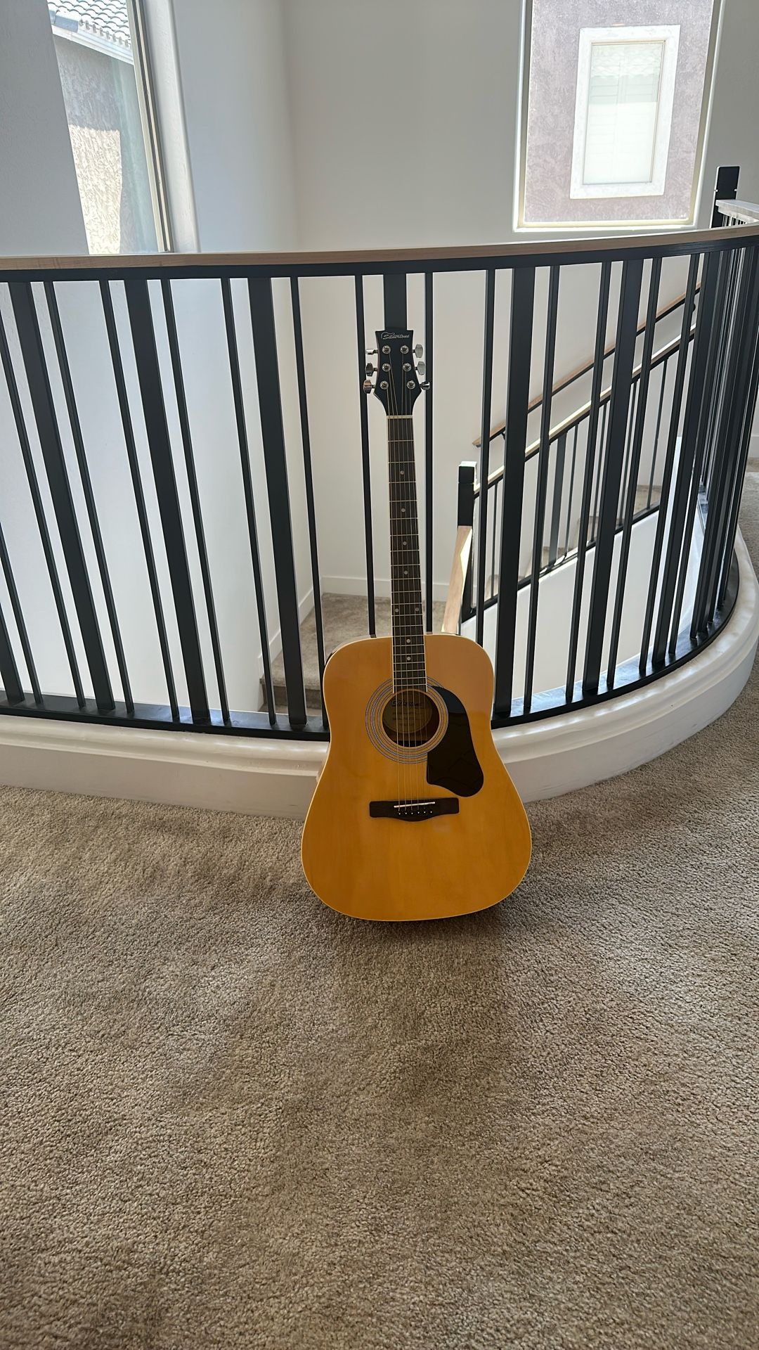 Silvertone Pro Series Guitar with Soft Case