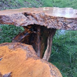 Live edge wood, coffee table and end table.