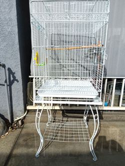 Big bird cage