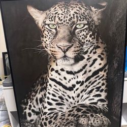Extra Large Cheetah Painting 
