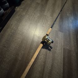 Great Inshore Daiwa Dx 8’ Shimano Catala 300 Fishing Combo New. 