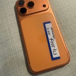 Iphone 17 Pro 256gb 100% Batery wont last!