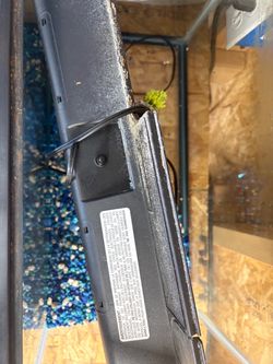 10 gallon fish tank
