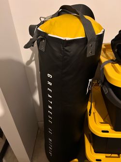 Everlast 120lb punching bag and stand