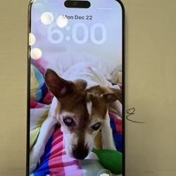 iPhone 15 PRO MAX 256 GIG LIKE NEW