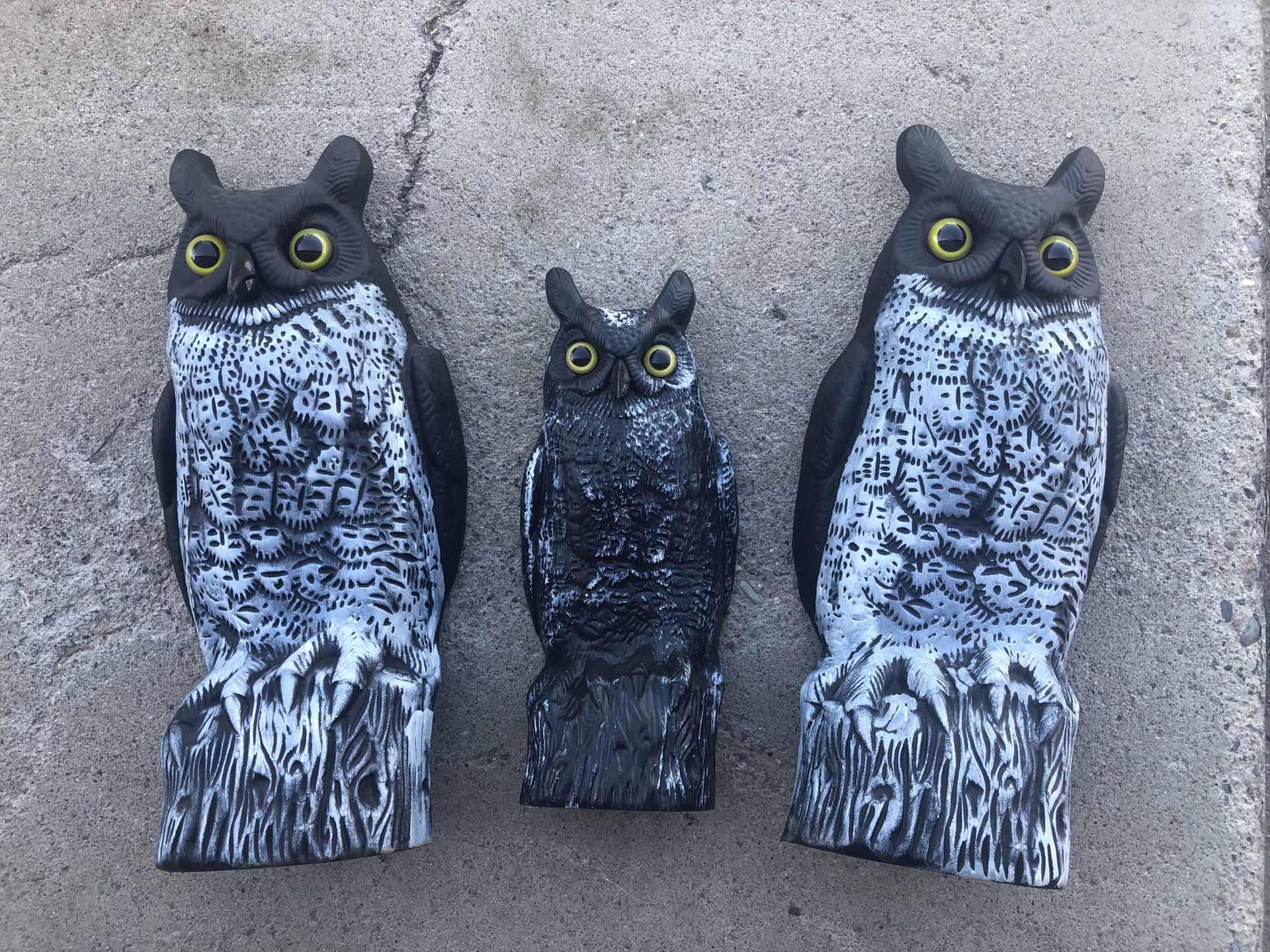 4pc Owls Halloween Props Decorations
