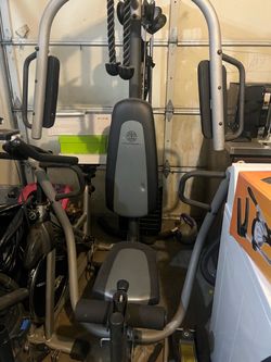 Golds gym workout bench