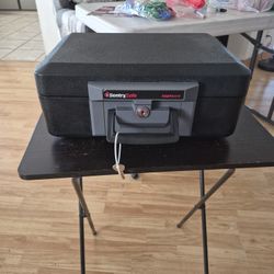 Sentry SAFE /Fireproof