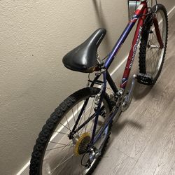 DiamondBack Mounted Bicycle