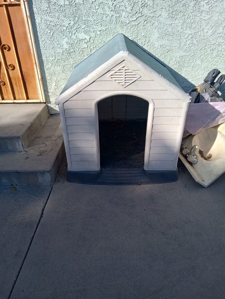 Dog House 
