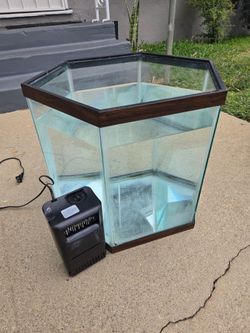 Fish / Turtle Aquarium