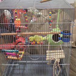 Parrots Cage With Accessories And 3 Beautiful Parrots Plus Food 