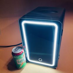 Black Portable Mini Fridge with LED Light