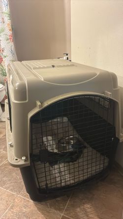 Xl Dog Kennel: Because Your Pup Deserves Space!